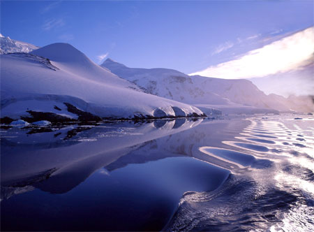 On Vacation Antartic