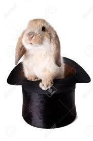 Rabbit out of a hat