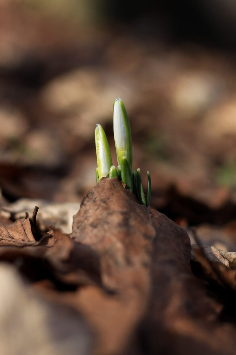Writing Through the Struggle Struggle valentin-salja-wSrCI7_og5Y-unsplash